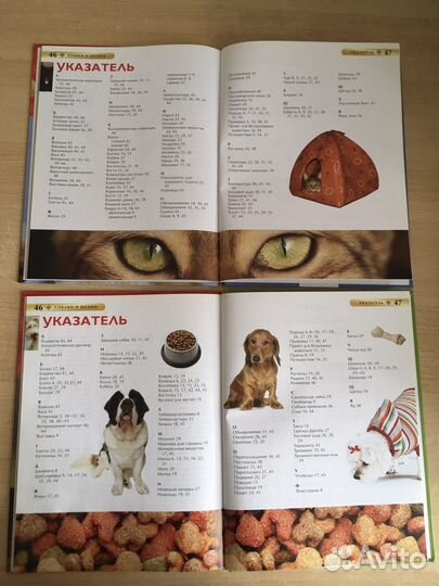 Детская энциклопедия