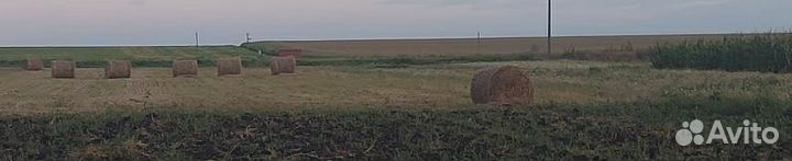 Тюк соломы пшеничной