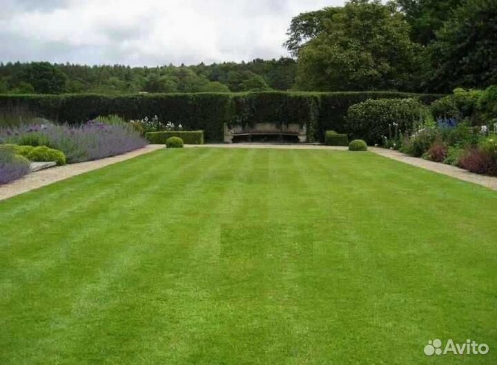 Укладка газона