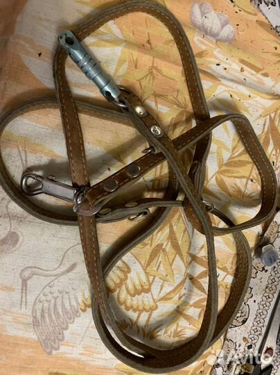 Поводок с ошейником