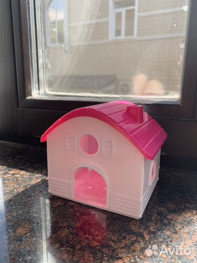 Товары для домашних животных