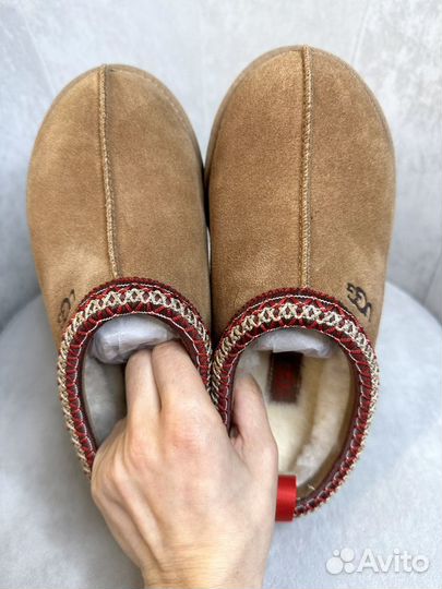 Угги UGG tazz tasman chestnut в наличии