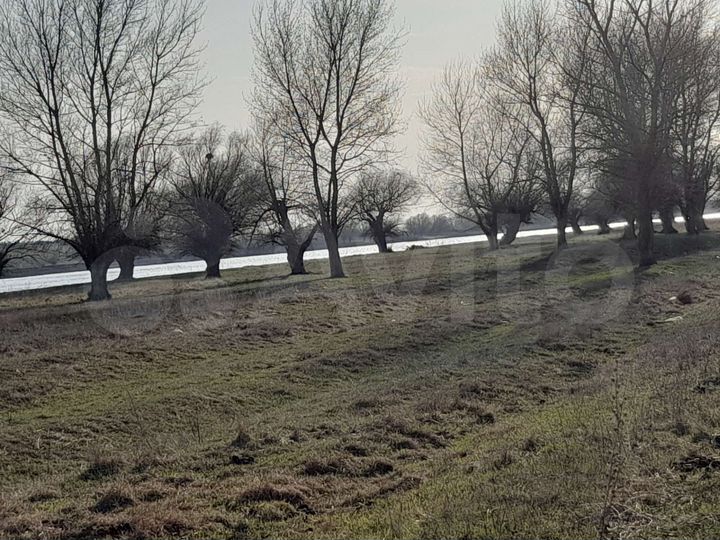 Участок 1,3 га (СНТ, ДНП)