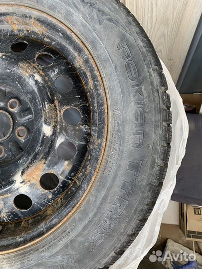 Nokian Tyres Nordman 7 205/60 R16 96T