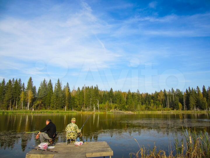 Участок 30 сот. (СНТ, ДНП)