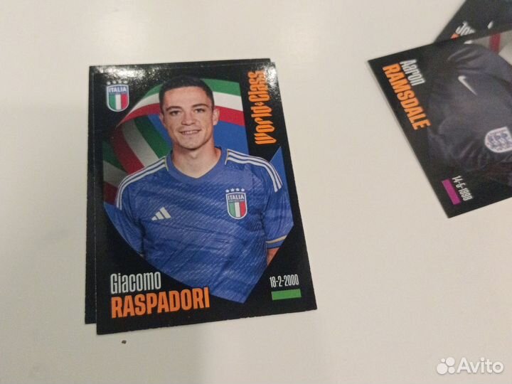 Наклейки Panini World Class