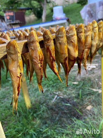 Рыба Барабуля копченая