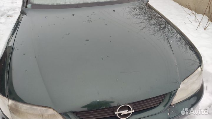 Капот Opel Vectra B