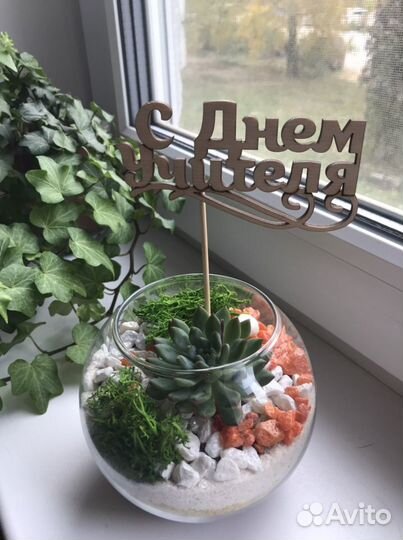 Флорариум суккуленты цветы