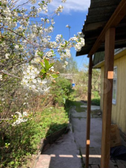 Дача 40 м² на участке 7 сот.