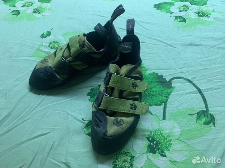 Скальные туфли evolv