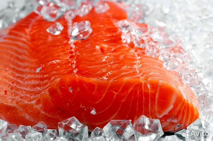 Готовый магазин морепродуктов с клиентской базой