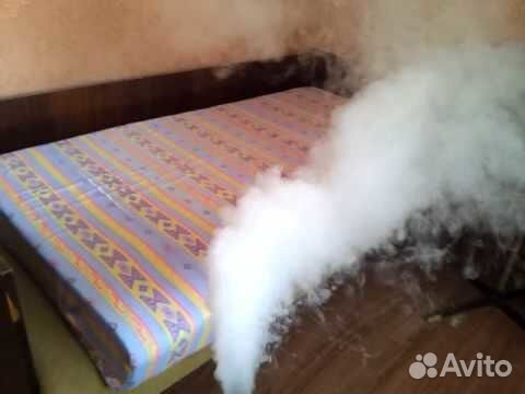 Дезинфекция насекомых грызуны плесени Благовещенск