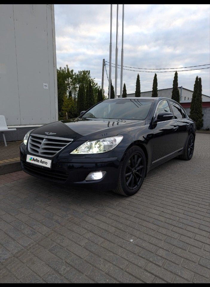 Hyundai Genesis: фото владельца