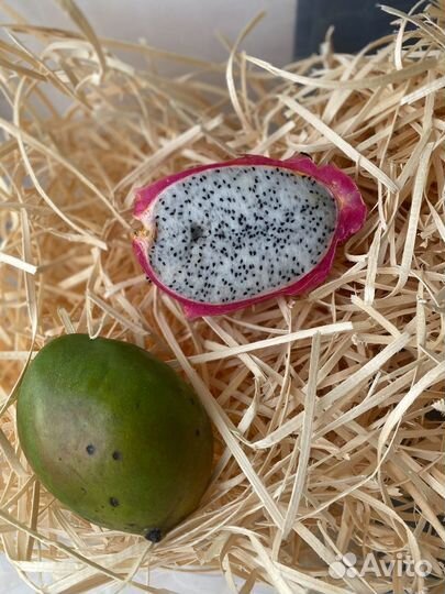 Наполнитель древесный (Древестная шерсть)