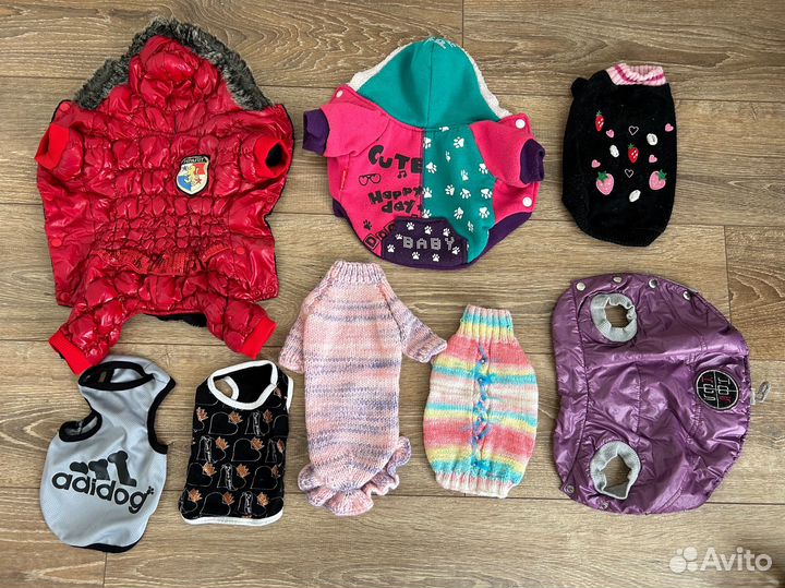 Одежда для маленьких собак