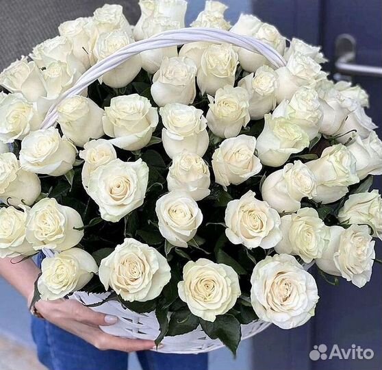 Высокие розы Гигантские розы Доставка цветов