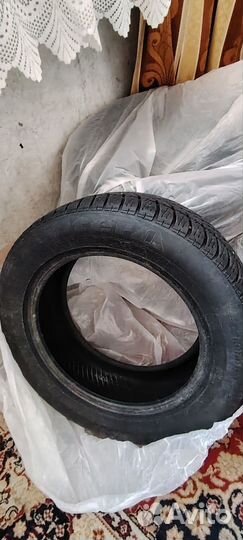 Tigar Winter 1 255/55 R16