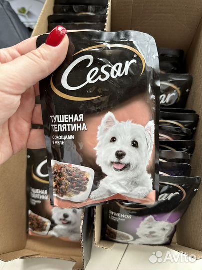 Корм для собак