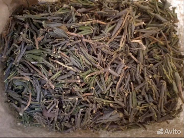 Чай Саган Дайля