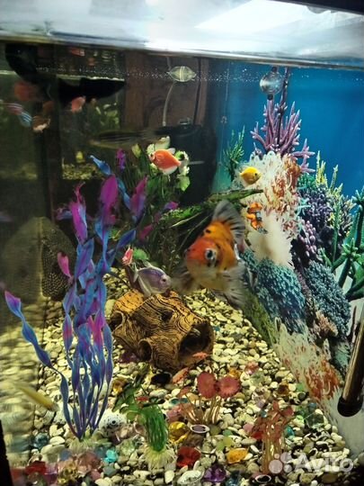 Украшение для аквариума