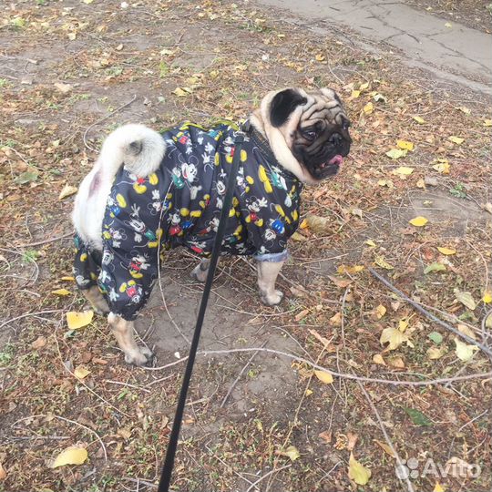 Вязка