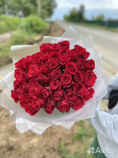 Букет из 51 розы, 35, 25 шт