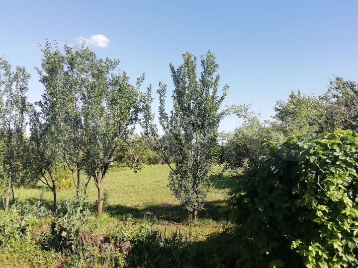 Участок 8 сот. (СНТ, ДНП)