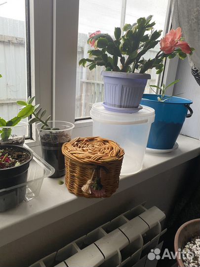 Шкатулка для украшений