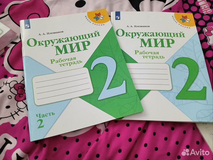 Окружающий мир 2 класс рабочая тетрадь Плешаков