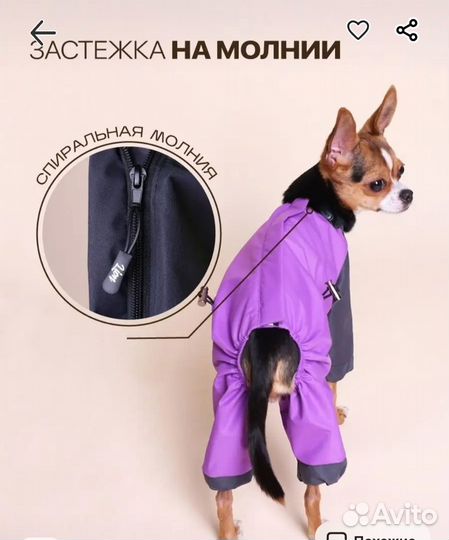 Дождевик для средней и мелкой собаки