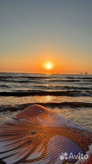 Прокат сапбордов