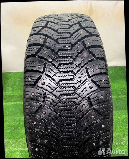 Cordiant Polar 195/65 R15