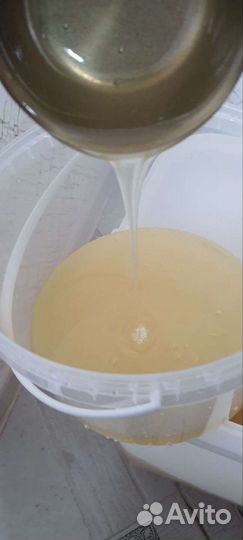 Липовый мёд 2022 из Башкирии