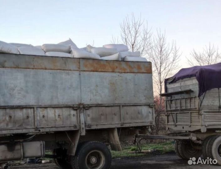 Лузга в наличии