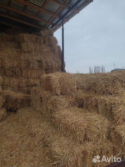 Сено и солома