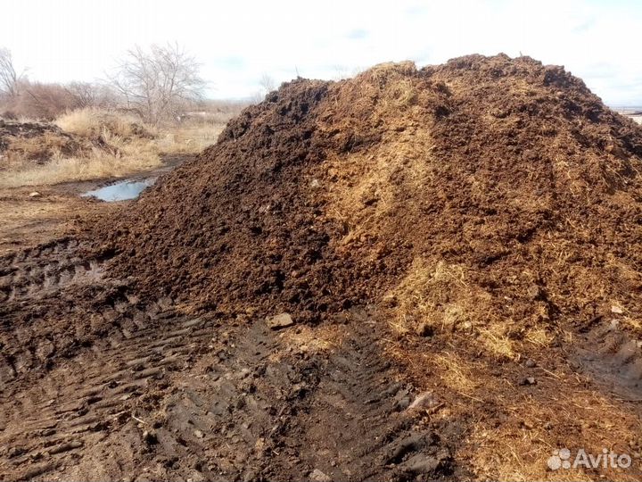 Чернозем земля плодородная