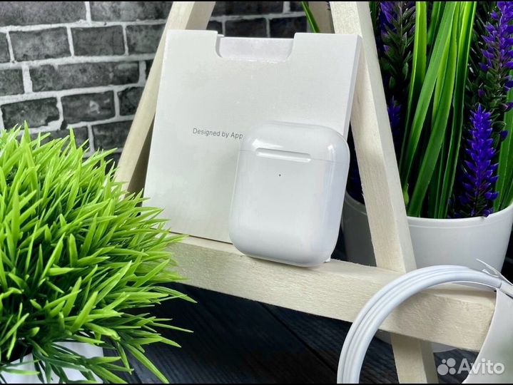 Apple AirPods 2 (гарантия + чехол)