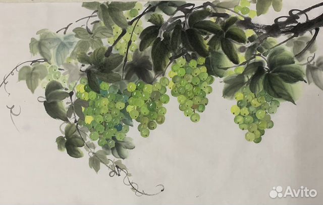 Виноградная лоза