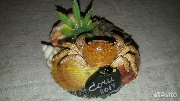 Сувениры ручной работы на морскую тематику