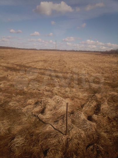 Участок 38 сот. (ИЖС)