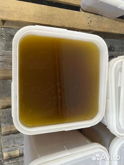 Майский мед свежий только опт