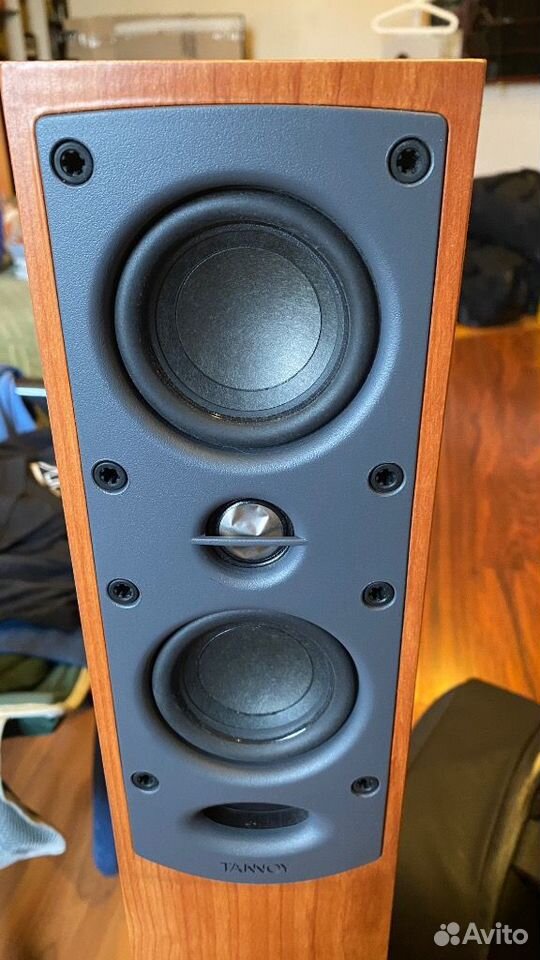 Колонки Tannoy HTS 200 купить в Санкт-Петербурге по низкой цене с ...