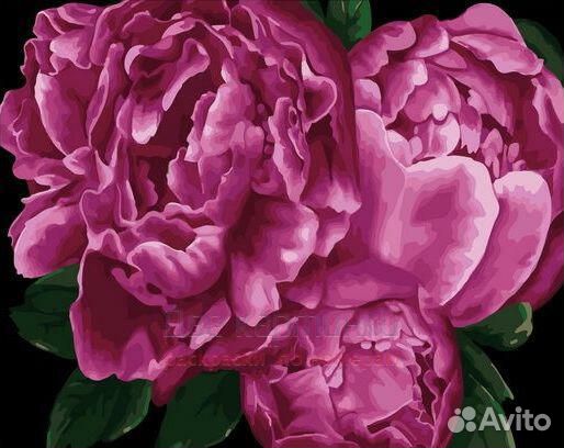 Картина по номерам 40x50 Ярко-розовые