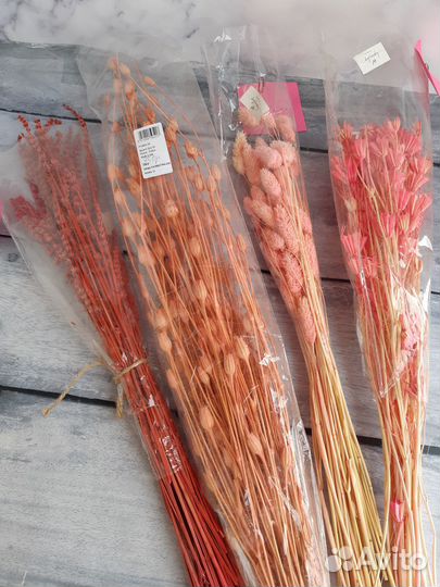 Цветы/сухоцветы для декора