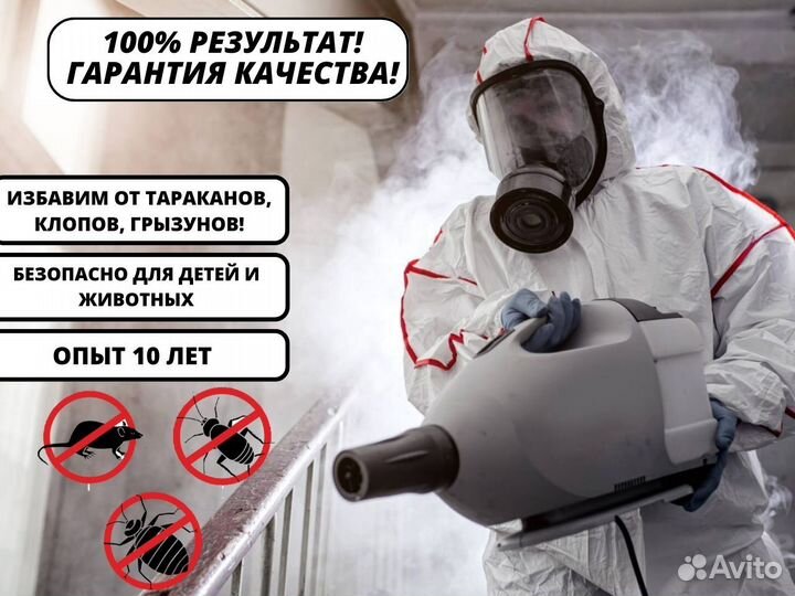 Дезинфекция. Уничтожение тараканов клопов грызунов