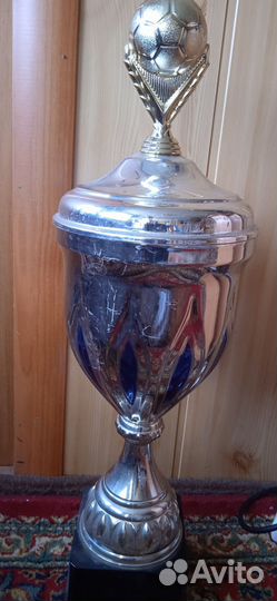 Футбольный кубок
