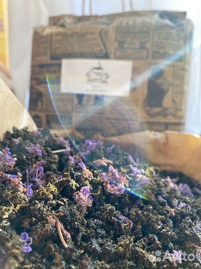 Иван чай, местный - 2023 года