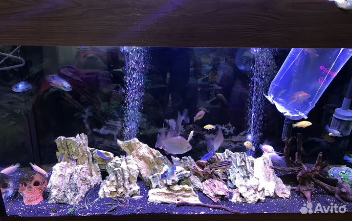 Аквариум с тумбой 300 литров