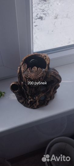 Аквариумные рыбки